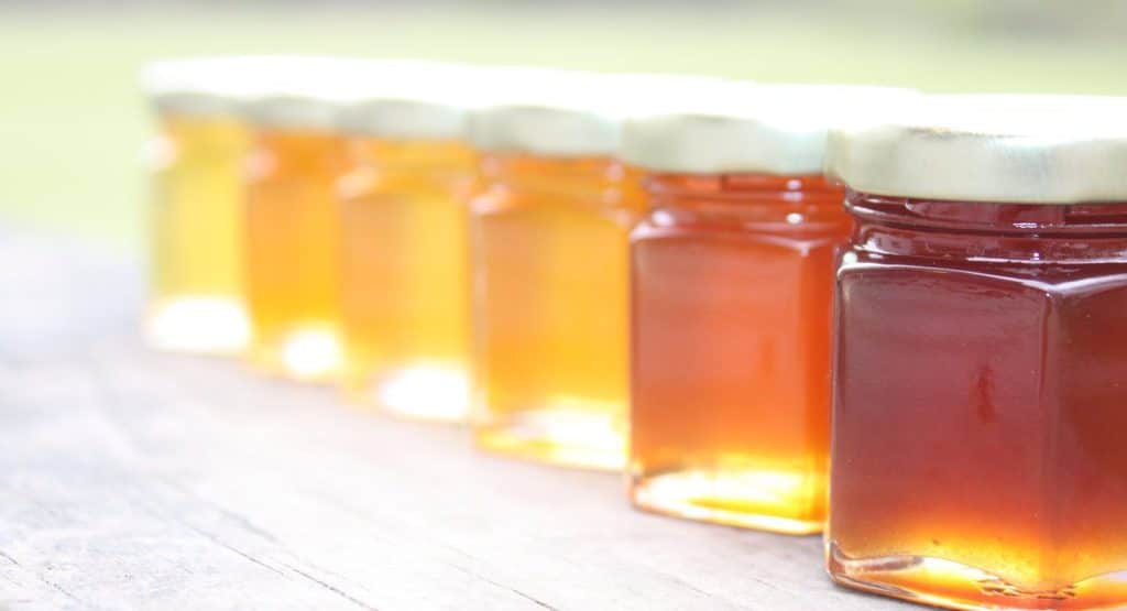 ¿Qué ocurre con la miel española? Mitos y Verdades - Apicultura