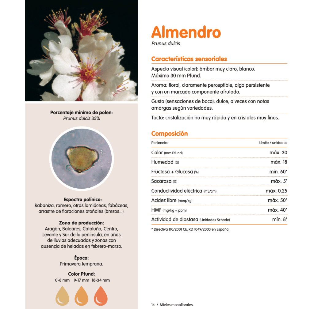 Miel de Almendro: Gusto, aroma, color y todas sus características. - MIELES