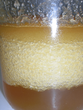 La humedad de la miel: Por qué fermenta y como evitarlo. - MIELES