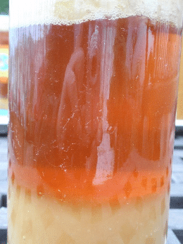 La imagen tiene un atributo ALT vacío; su nombre de archivo es miel-fermentada.png