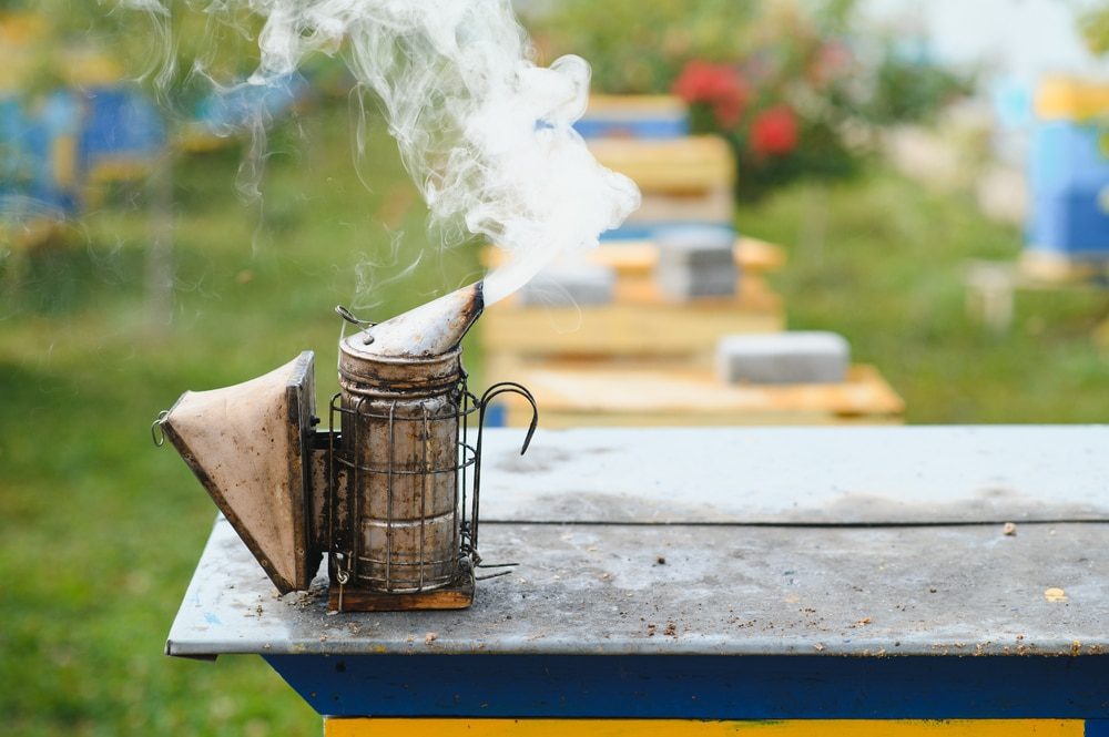 Cómo hacer una bomba de humo de colores: 10 Pasos