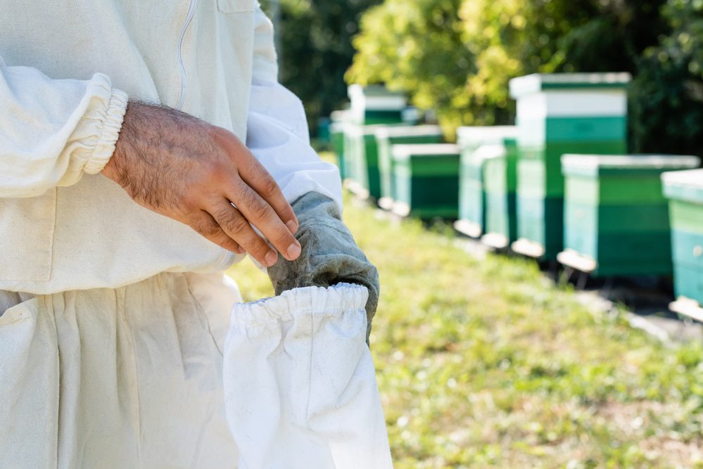 Comprar Traje protección contra la abeja - buzo apicultor online