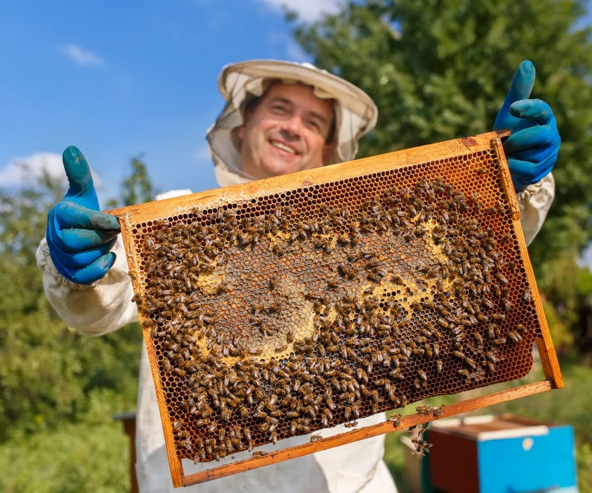 La rentabilidad está estrechamente ligada a la continuidad de nuestra apicultura.